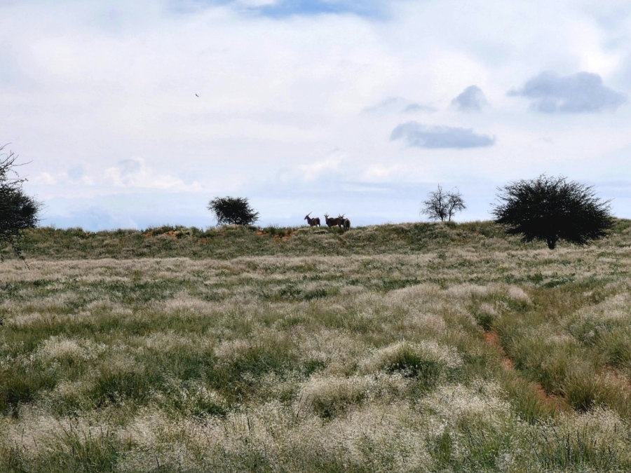 Commercial Property for Sale in Griekwastad Rural Northern Cape